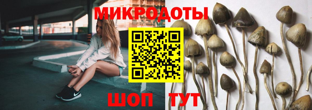 Владикавказ  Псилоцибиновые грибы GOLDEN TEACHER  Вход с VPN  Галлюциногенные грибы мухоморы 
